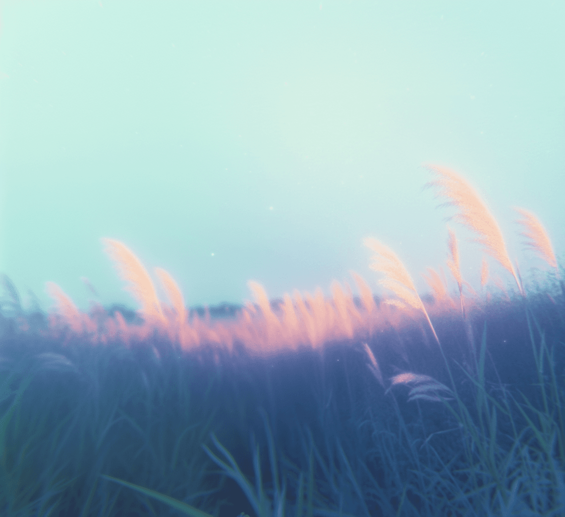 Discover our monthly compilations! Great tunes from artists we believe are a great highlight to discover